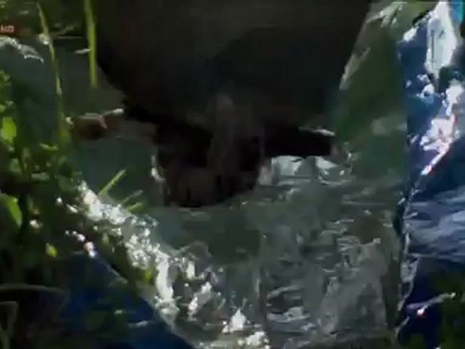 Las Fuerzas del Planeta BBC. 2-5 Agua