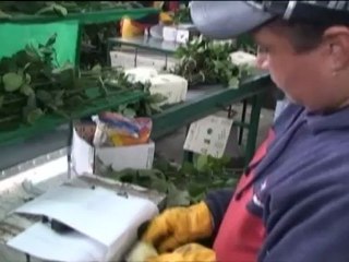 Ecuador: un arcoíris terrenal