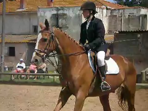Dressage club 2 grand prix fréjus 03/06/2012