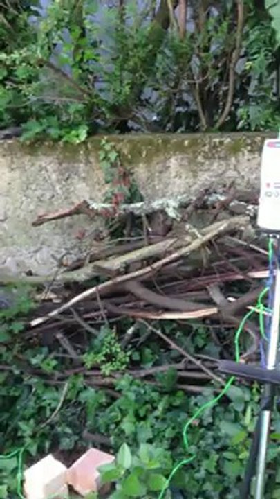 avant la cuisson au RAKU