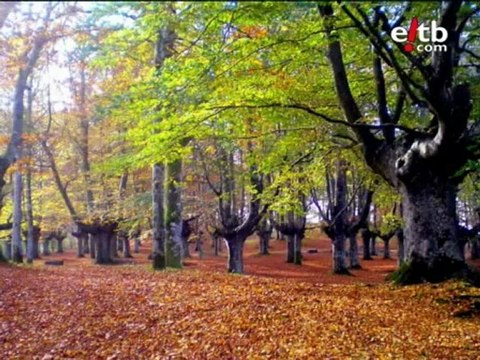 Fotos espectaculares en Eguraldiblog