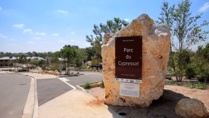 Cenon, la dame du parc du cypressat