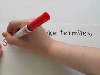 Spinal Termites can Kill you!