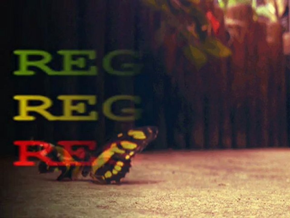 Willie Williams-Solid rock i stand