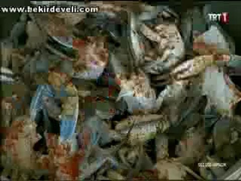 Bekir Develi - Gez Göz Arpacık - Mersin/Silifke - Mavi Yengeç