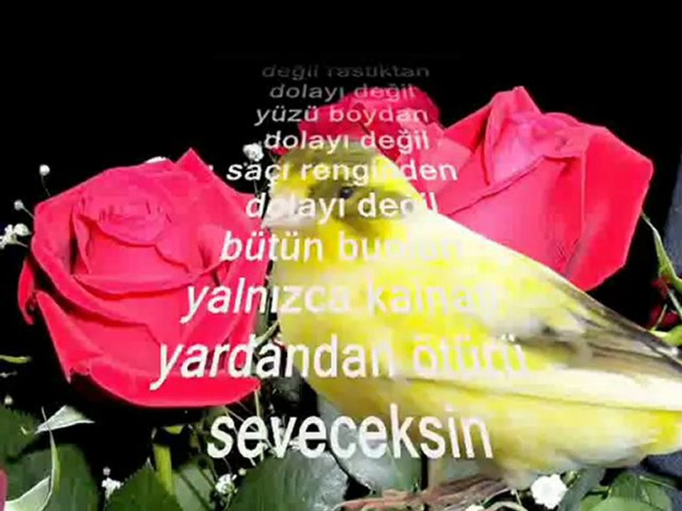 SEVECEKSIN