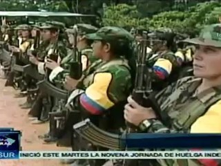 Congreso colombiano discute marco jurídico para la paz