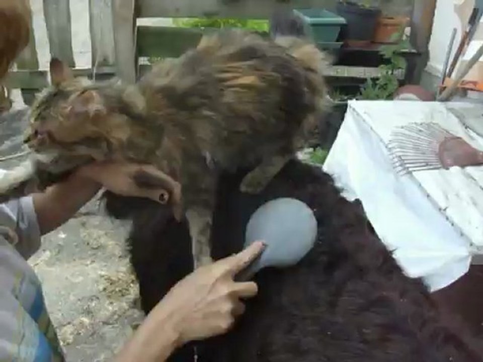 mimi6.6.2012 001