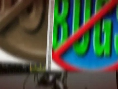 Donpedro's Termite Control (510) 465-3111