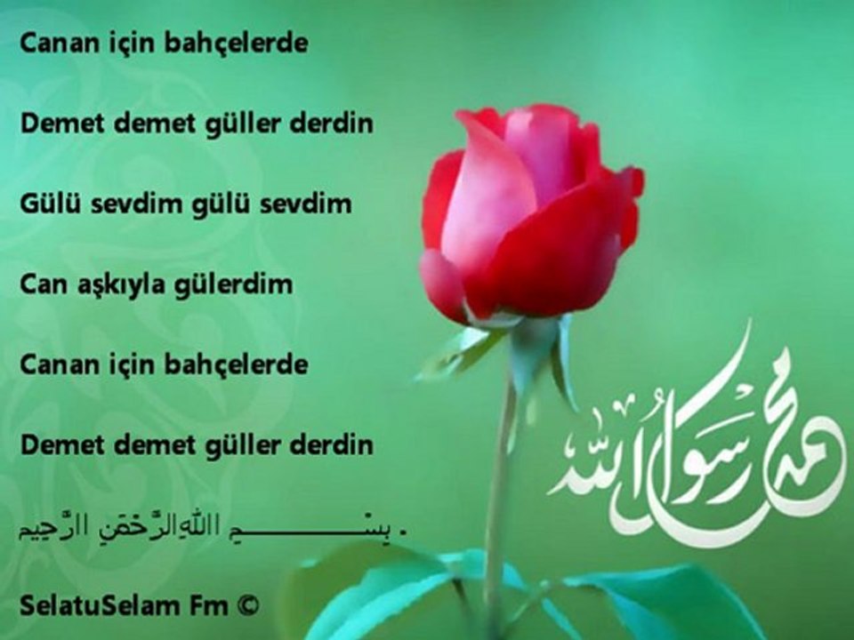 Abdurrahman ÖNÜL Gül Bahçesine Gülü Sevdim