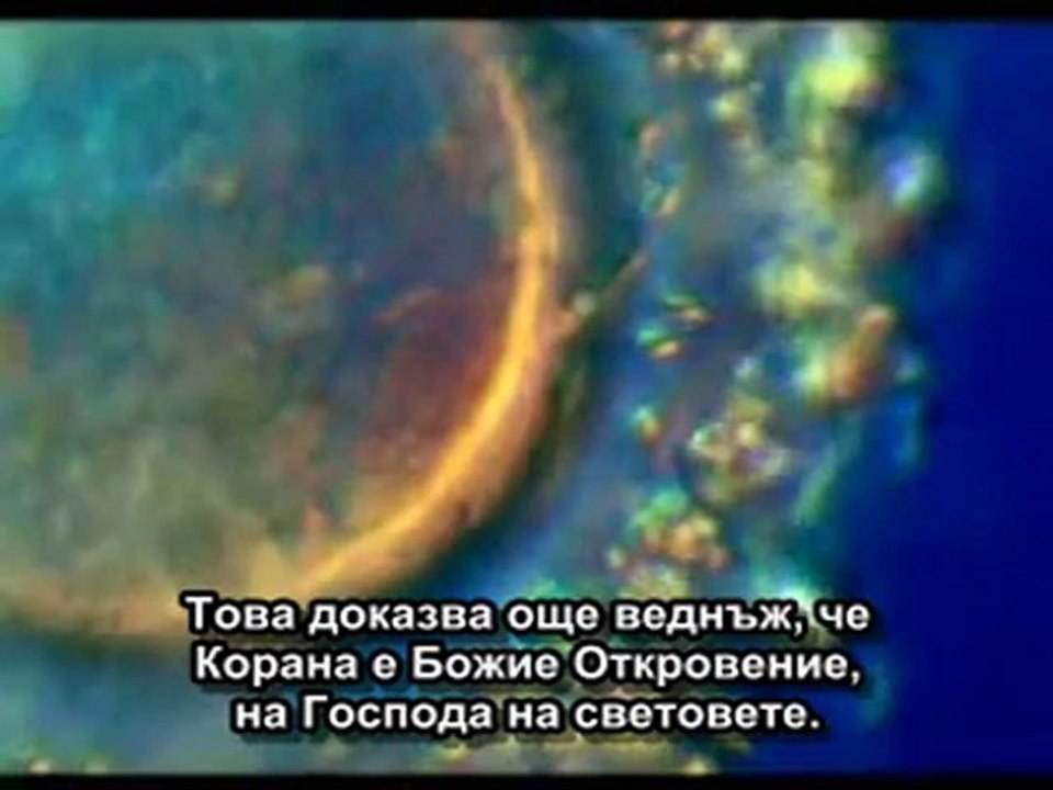 Полът на Бебето