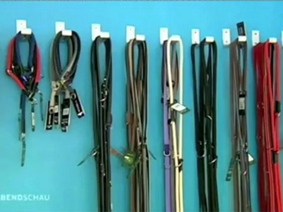 Abendschau vom 6. Juni 2012 - Bürgerbeteiligung beim neuen Hundegesetz