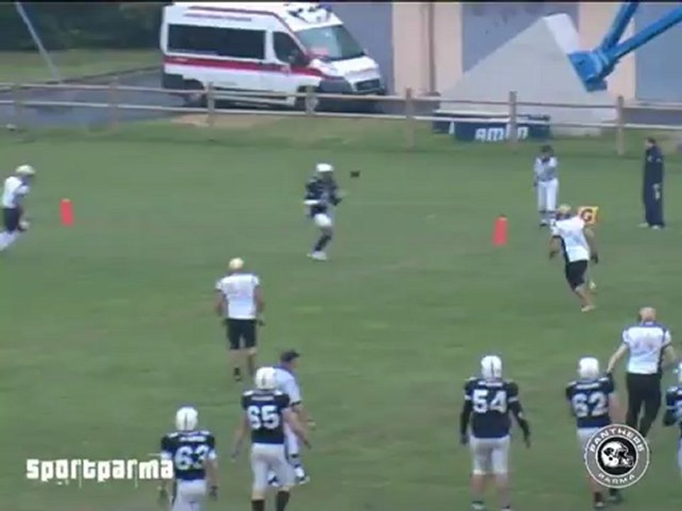 Panthers Lions highlights 20052012