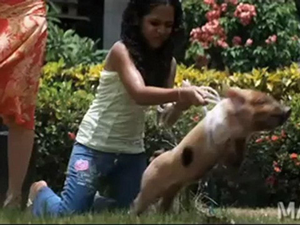 Trailer La Soga