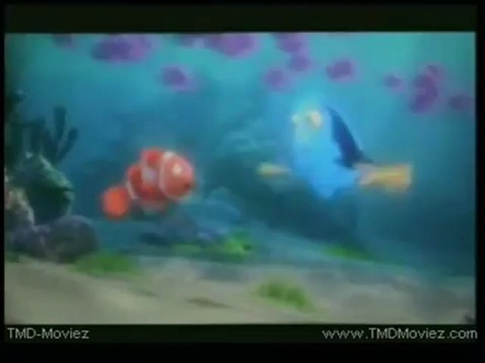 Whereever Nemo Go You Go Too!