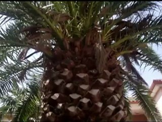 plus belle la connerie