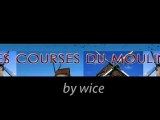 la course du moulin 2012 by wice
