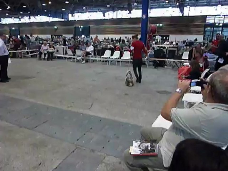 P1010554