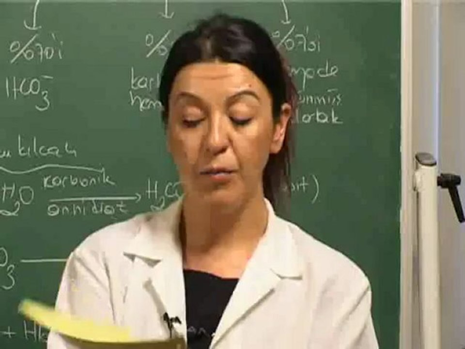 20-Solunum Sistemleri