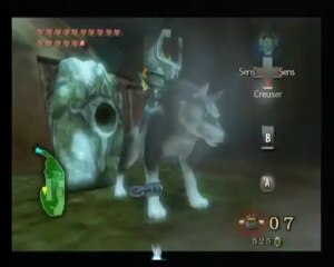 The legend of Zelda Twilight Princess [28] Le village oublié