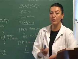 22-Boşaltım Sistemi