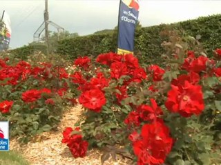 Portes ouvertes des serres de la Mérinière