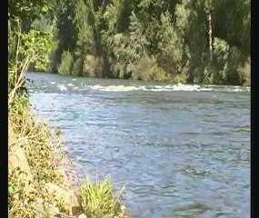 Le Tarn à Villeneuve sur Tarn