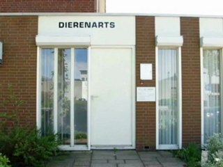 Скачать видео: Dierenarts Nieuw-Vennep Dierenarts A A J van Zweeden