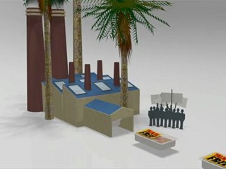 L'huile de palme, un ingrédient controversé