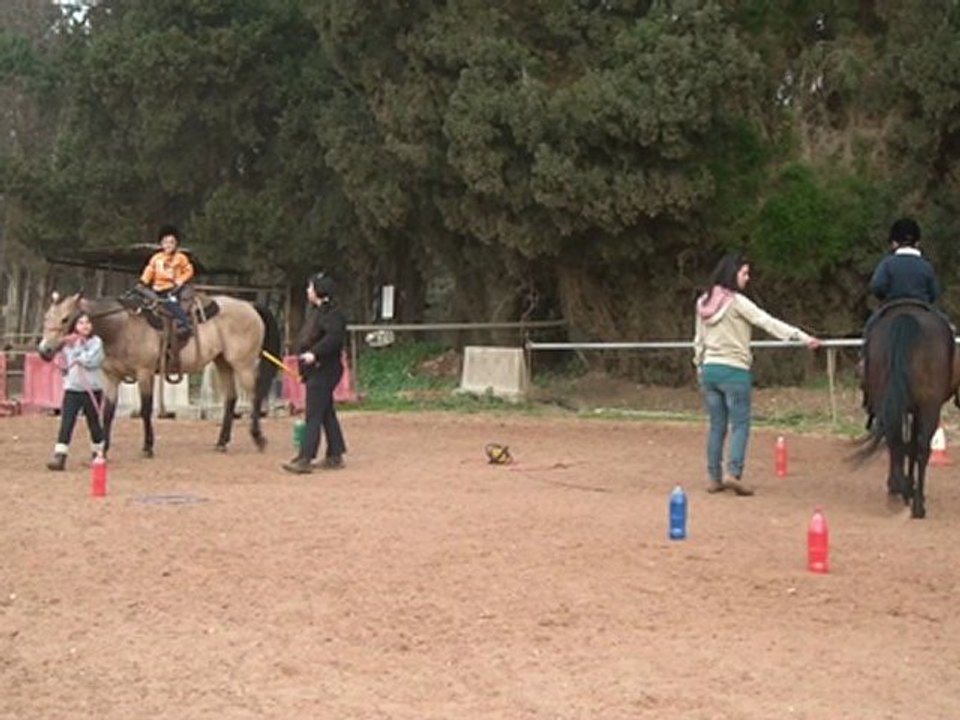 yeo poney israel