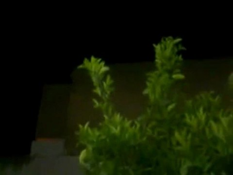 Syria فري برس حماه المحتلة اطلاق النار العشوائي على المنازل حماة 07 06 2012 Hama