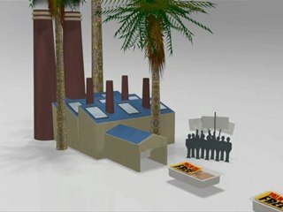 L'huile de palme, un ingrédient controversé