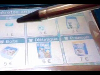 The plaster for games -Nintendogs + Cats