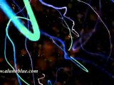 Total Chaos clip 08 - Stock Video - Stock Footage - Video Backgrounds