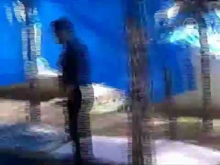 Сирийская оппозиция просит остановить кровопролитие