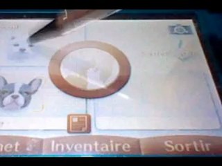 The plaster for games -Nintendogs + Cats (2ème partie)