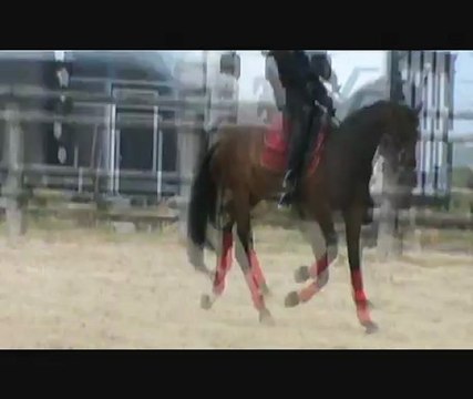 Tu révises? oui oui je fais poney option compta!