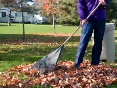 Lee & Son Lawn Care (205) 862-0923