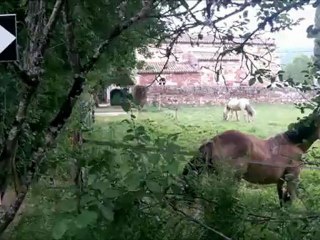 ELEVAGE DE BLEYS ENVIRONNEMENT