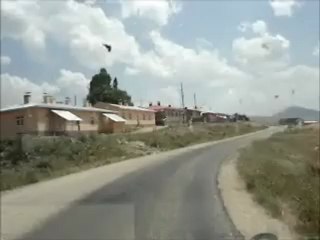 HINIS BELGESELİ 2010