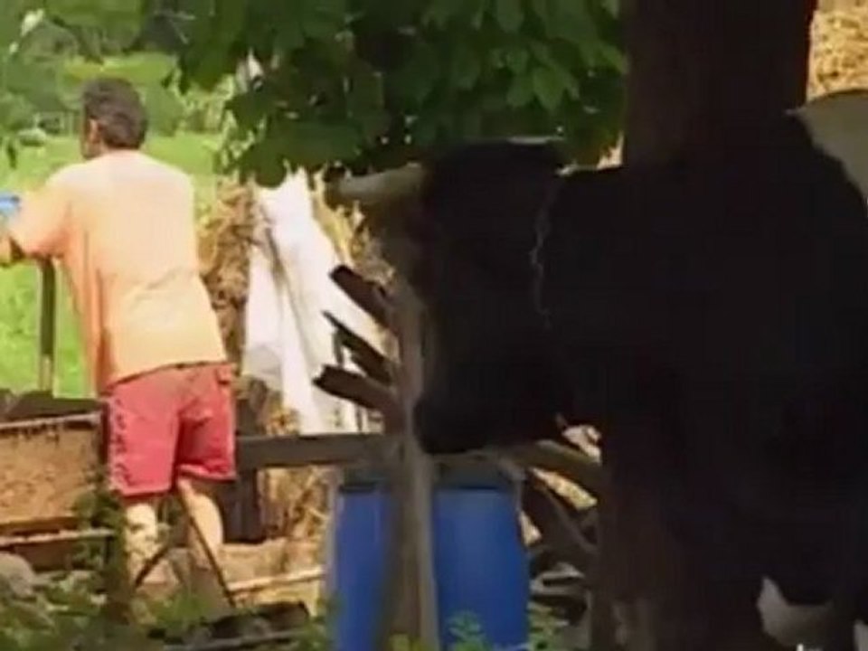 euronewsru - Италия блеск и нищета Эмилии-Романьи [H.264 360p]