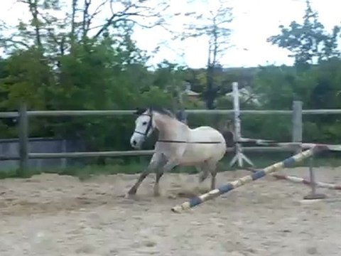 Vatea 1ere seance de saut