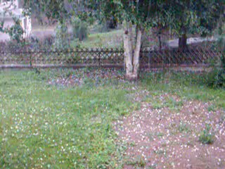Grêle sur Huningue le 07 juin 2012