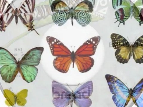 Bread ( If / Yamaha Psr 1000 )