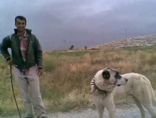 Ambar Köyü Ovalar-Orhan Hakalmaz-Salında gel KonyaTürküsü