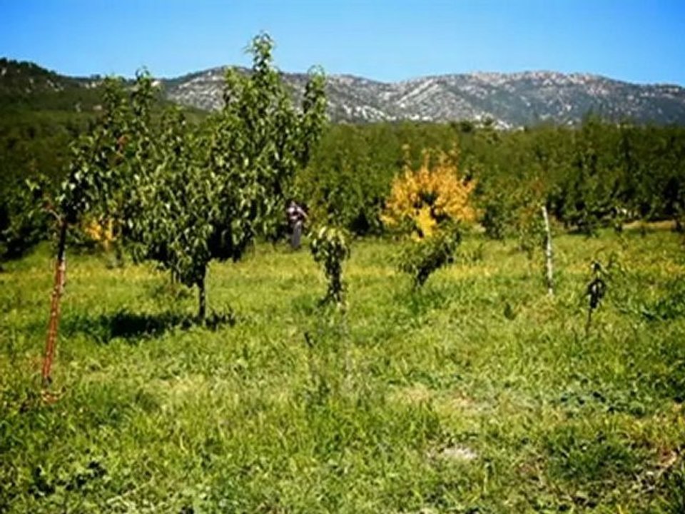 Bayar Şahin & İlkay Akkaya & Suavi & Erdal Bayrakoğlu & Efkan Şeşen & Yasemin Göksu & Ayşenur Kolivar - Özgür Aksın Dereler