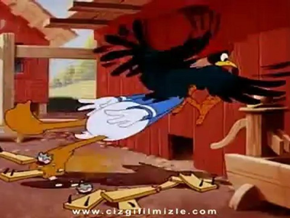 Donald Duck - Gözler (cizgifilmizle.com)