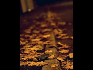 BİR TUTAM SESSİZLİK