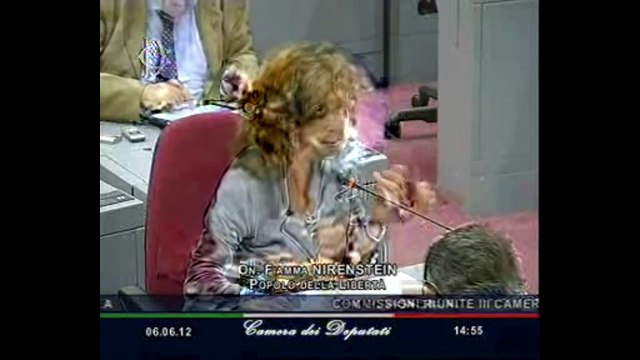 Roma L'audizione di Giulio Terzi di Sant'Agata (06.06.12)