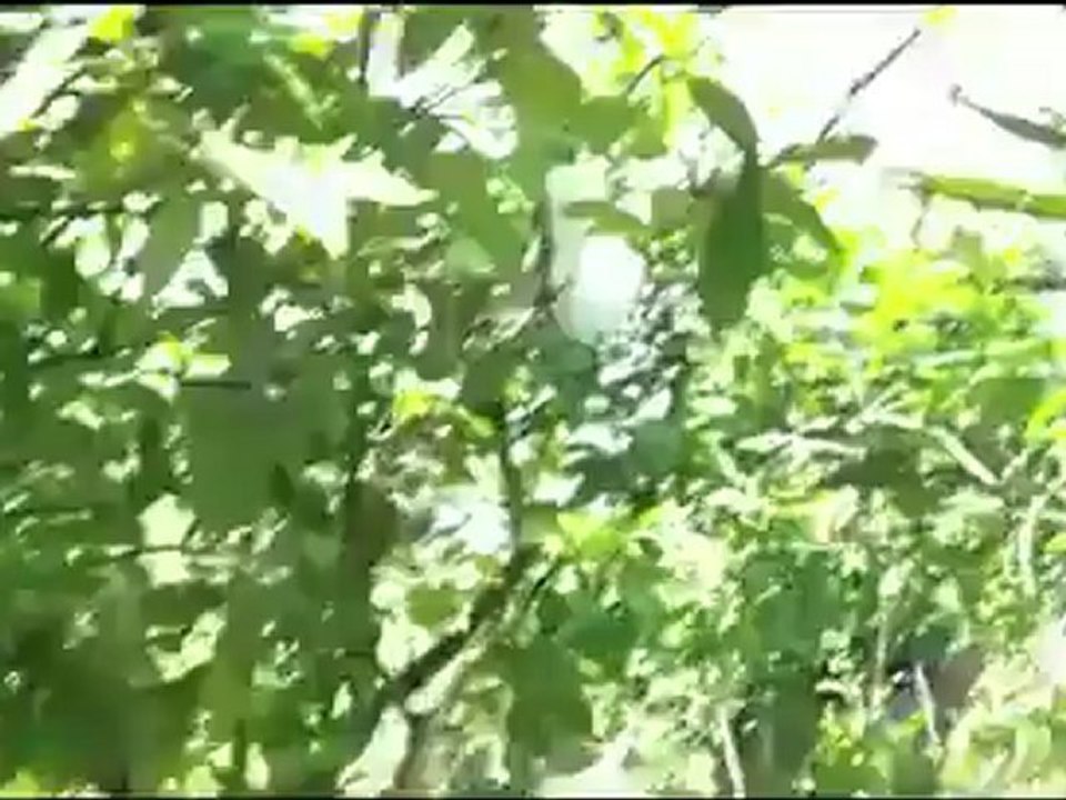 Syria فري برس اللاذقية الحفة آثار القصف على المنازل 7 6 2012 Latakia